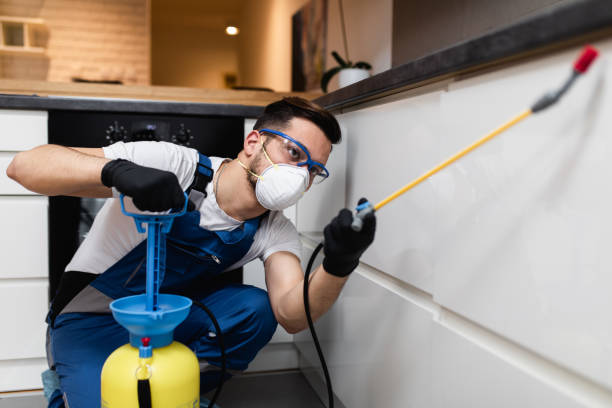Best Pest Inspection Near Me  in North Lakeville, MA