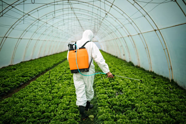 Best Pest Control Near Me  in North Lakeville, MA