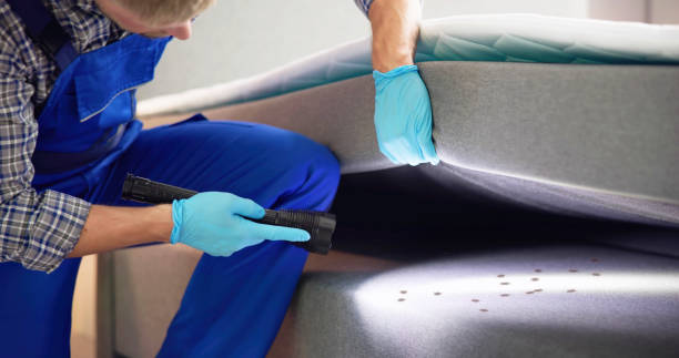 Pest Control Cost in North Lakeville, MA