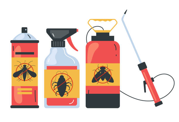 Professional Pest Control in North Lakeville, MA