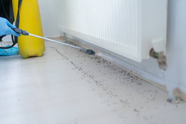 Best Pest Removal Services  in North Lakeville, MA